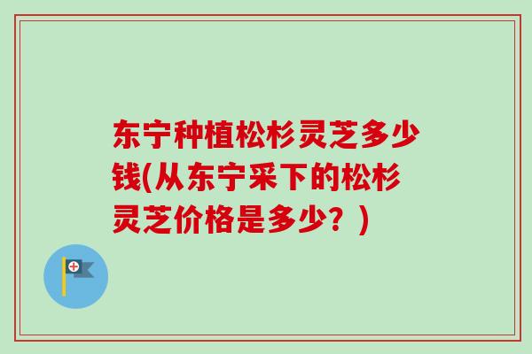 东宁种植松杉灵芝多少钱(从东宁采下的松杉灵芝价格是多少？)