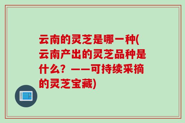 云南的灵芝是哪一种(云南产出的灵芝品种是什么？——可持续采摘的灵芝宝藏)