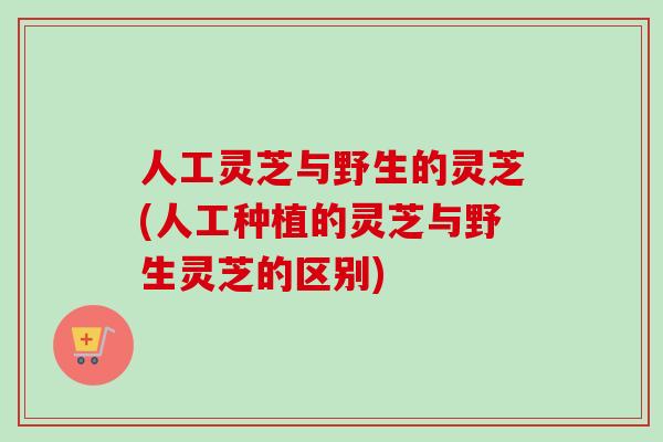 人工灵芝与野生的灵芝(人工种植的灵芝与野生灵芝的区别)