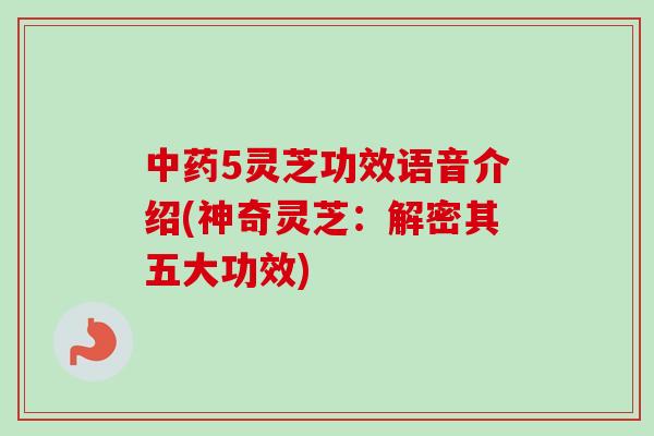 中药5灵芝功效语音介绍(神奇灵芝：解密其五大功效)