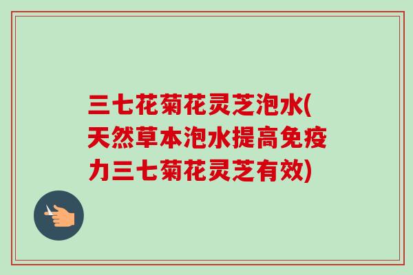 三七花菊花灵芝泡水(天然草本泡水提高免疫力三七菊花灵芝有效)