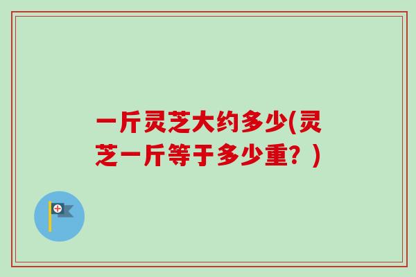 一斤灵芝大约多少(灵芝一斤等于多少重？)