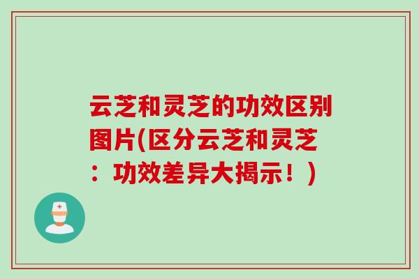 云芝和灵芝的功效区别图片(区分云芝和灵芝:功效差异大揭示!) 云芝和灵芝的功效区别图片(区分云芝和灵芝:功效差异大揭示!)