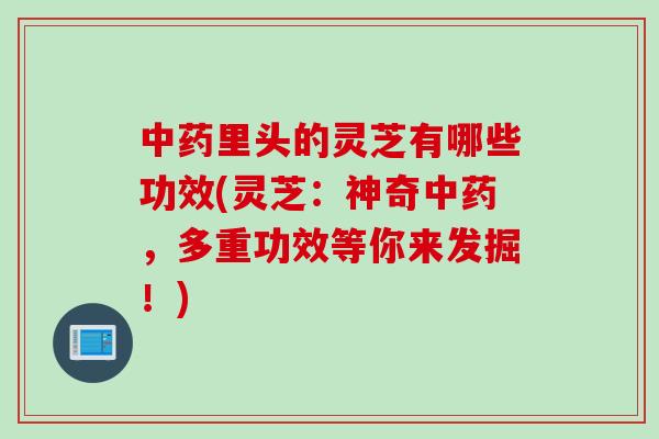 中药里头的灵芝有哪些功效(灵芝：神奇中药，多重功效等你来发掘！)