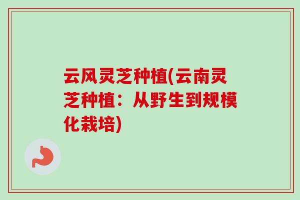 云风灵芝种植(云南灵芝种植：从野生到规模化栽培)