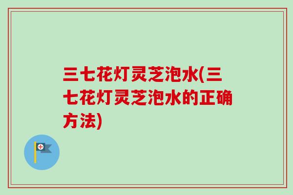 三七花灯灵芝泡水(三七花灯灵芝泡水的正确方法)