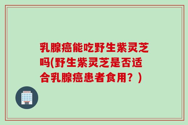 乳腺癌能吃野生紫灵芝吗(野生紫灵芝是否适合乳腺癌患者食用？)