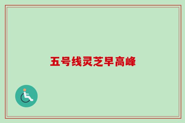 五号线灵芝早高峰