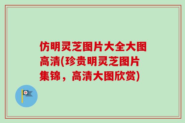 仿明灵芝图片大全大图高清(珍贵明灵芝图片集锦，高清大图欣赏)
