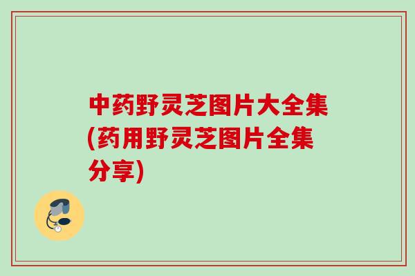 中药野灵芝图片大全集(药用野灵芝图片全集分享)