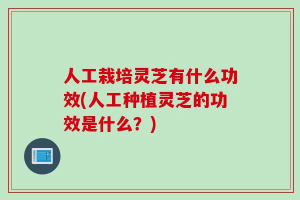 人工栽培灵芝有什么功效(人工种植灵芝的功效是什么？)