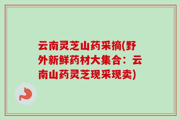 云南灵芝山药采摘(野外新鲜药材大集合：云南山药灵芝现采现卖)