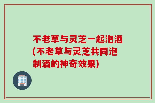 不老草与灵芝一起泡酒(不老草与灵芝共同泡制酒的神奇效果)