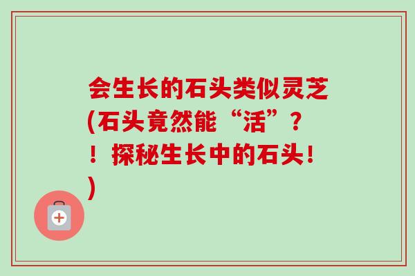 会生长的石头类似灵芝(石头竟然能“活”？！探秘生长中的石头！)