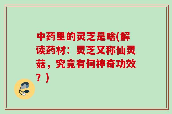 里的灵芝是啥(解读药材:灵芝又称仙灵菇,究竟有何神奇功效?) 里的灵芝是啥(解读药材:灵芝又称仙灵菇,究竟有何神奇功效?)
