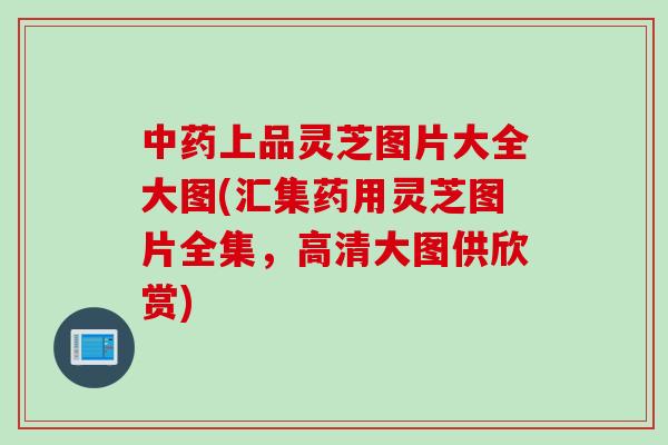 中药上品灵芝图片大全大图(汇集药用灵芝图片全集，高清大图供欣赏)