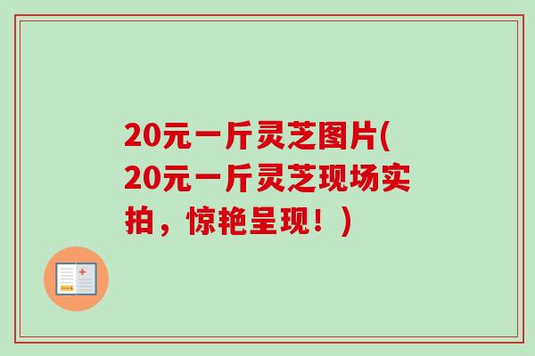 20元一斤灵芝图片(20元一斤灵芝现场实拍,惊艳呈现!) 20元一斤灵芝图片(20元一斤灵芝现场实拍,惊艳呈现!)