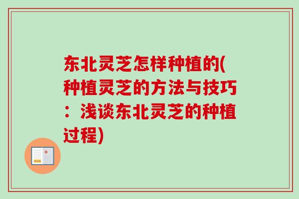 东北灵芝怎样种植的(种植灵芝的方法与技巧：浅谈东北灵芝的种植过程)
