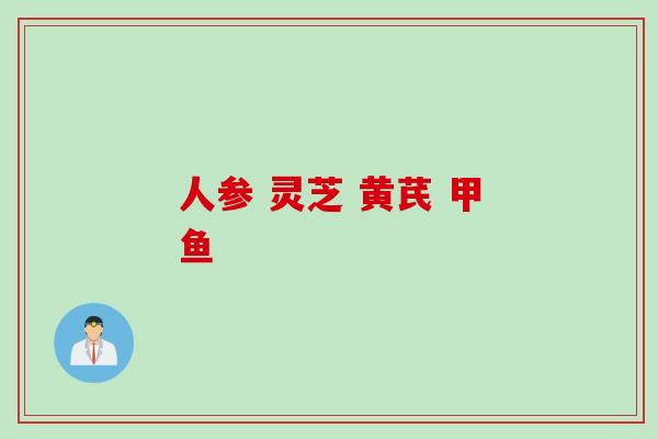 人参 灵芝 黄芪 甲鱼