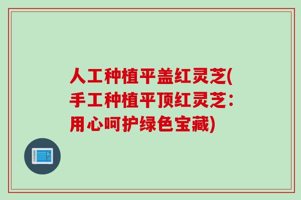人工种植平盖红灵芝(手工种植平顶红灵芝：用心呵护绿色宝藏)