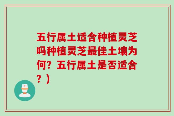 五行属土适合种植灵芝吗种植灵芝最佳土壤为何？五行属土是否适合？)