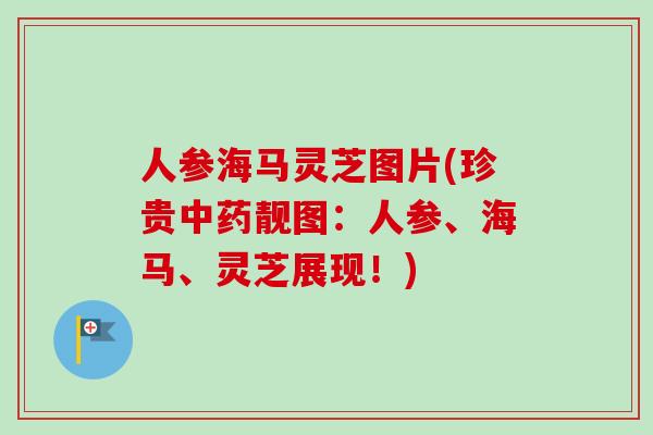 人参海马灵芝图片(珍贵靓图:人参、海马、灵芝展现!) 人参海马灵芝图片(珍贵靓图:人参、海马、灵芝展现!)