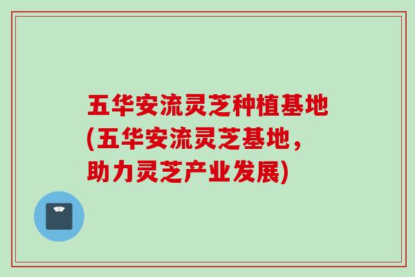 五华安流灵芝种植基地(五华安流灵芝基地，助力灵芝产业发展)