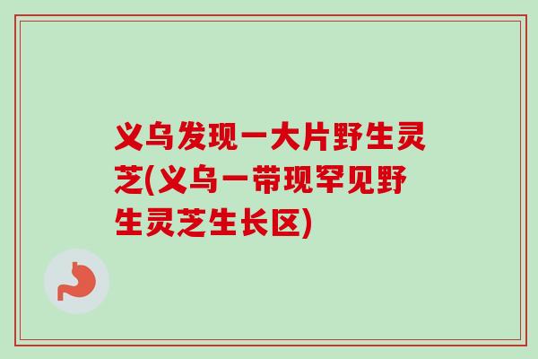 义乌发现一大片野生灵芝(义乌一带现罕见野生灵芝生长区)