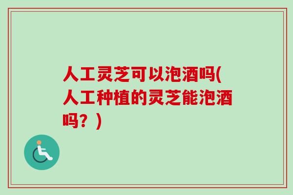人工灵芝可以泡酒吗(人工种植的灵芝能泡酒吗？)
