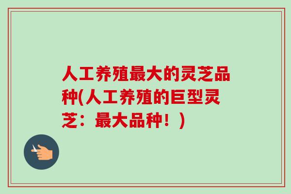 人工养殖最大的灵芝品种(人工养殖的巨型灵芝：最大品种！)
