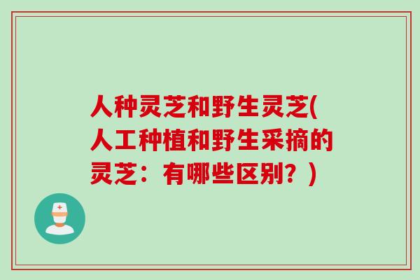 人种灵芝和野生灵芝(人工种植和野生采摘的灵芝：有哪些区别？)