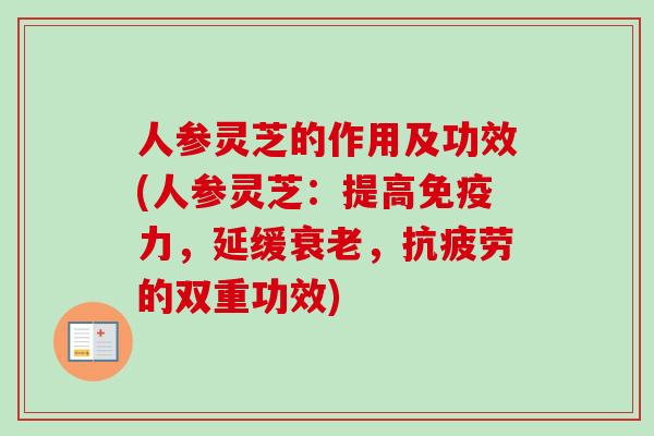 人参灵芝的作用及功效(人参灵芝:提高免疫力,延缓,的双重功效) 人参灵芝的作用及功效(人参灵芝:提高免疫力,延缓,的双重功效)