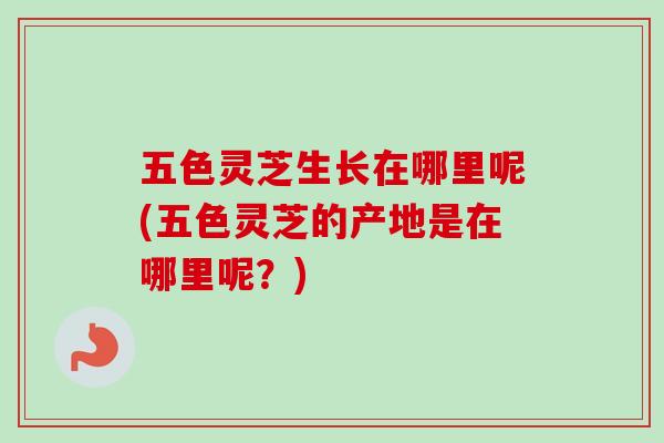 五色灵芝生长在哪里呢(五色灵芝的产地是在哪里呢？)