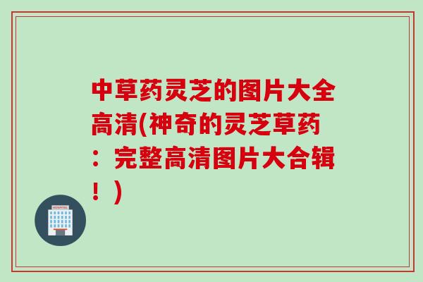 中草药灵芝的图片大全高清(神奇的灵芝草药：完整高清图片大合辑！)