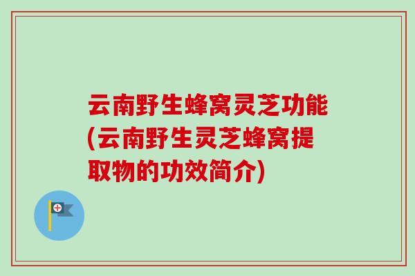 云南野生蜂窝灵芝功能(云南野生灵芝蜂窝提取物的功效简介) 云南野生蜂窝灵芝功能(云南野生灵芝蜂窝提取物的功效简介)