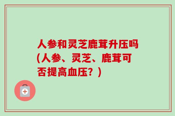 人参和灵芝鹿茸升压吗(人参、灵芝、鹿茸可否提高血压？)