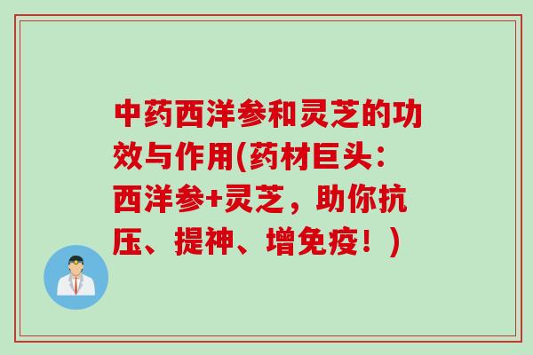 中药西洋参和灵芝的功效与作用(药材巨头：西洋参+灵芝，助你抗压、提神、增免疫！)