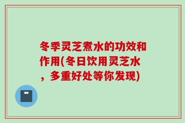 冬季灵芝煮水的功效和作用(冬日饮用灵芝水，多重好处等你发现)