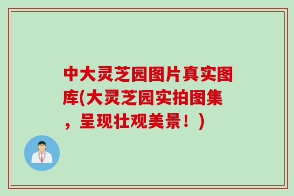 中大灵芝园图片真实图库(大灵芝园实拍图集，呈现壮观美景！)