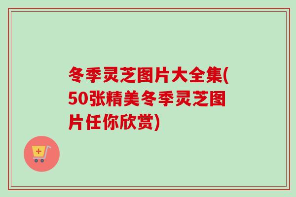 冬季灵芝图片大全集(50张精美冬季灵芝图片任你欣赏)