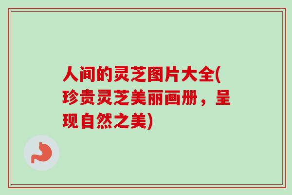 人间的灵芝图片大全(珍贵灵芝美丽画册，呈现自然之美)