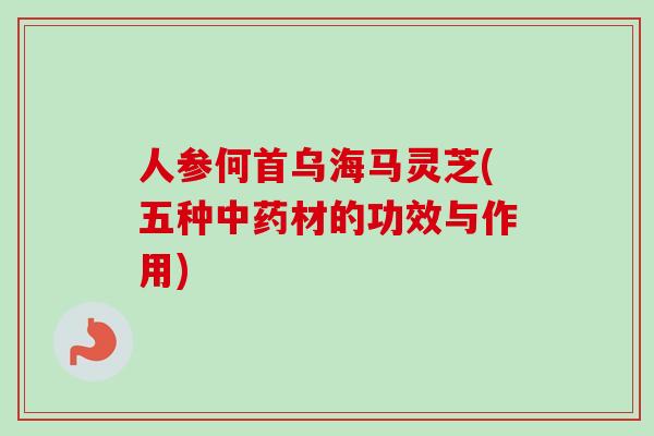 人参何首乌海马灵芝(五种中药材的功效与作用)