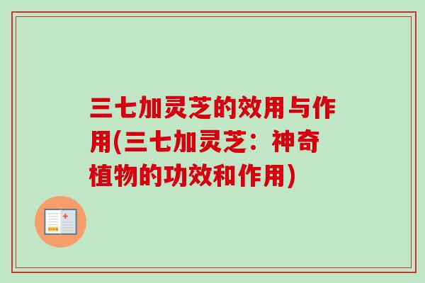 三七加灵芝的效用与作用(三七加灵芝:神奇植物的功效和作用) 三七加灵芝的效用与作用(三七加灵芝:神奇植物的功效和作用)