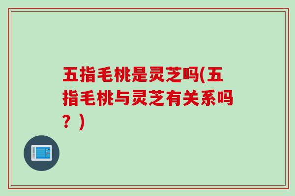 五指毛桃是灵芝吗(五指毛桃与灵芝有关系吗？)