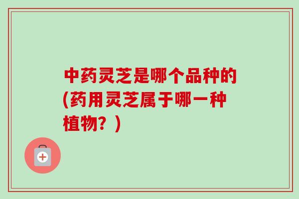 灵芝是哪个品种的(药用灵芝属于哪一种植物?) 灵芝是哪个品种的(药用灵芝属于哪一种植物?)
