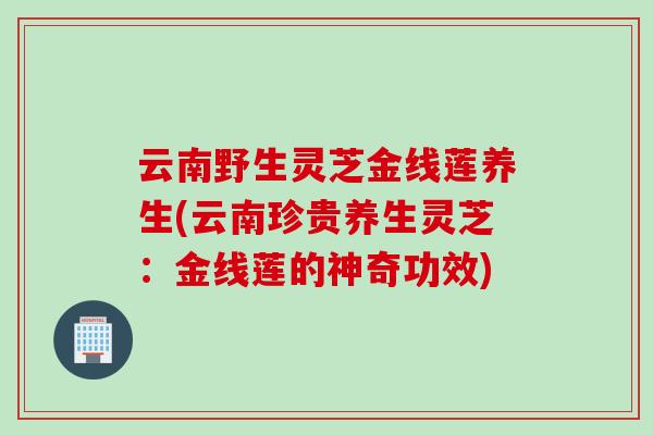 云南野生灵芝金线莲养生(云南珍贵养生灵芝：金线莲的神奇功效)