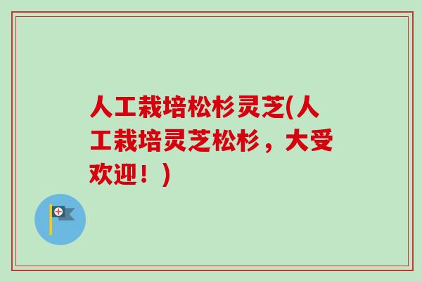 人工栽培松杉灵芝(人工栽培灵芝松杉，大受欢迎！)