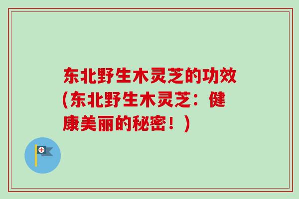 东北野生木灵芝的功效(东北野生木灵芝：健康美丽的秘密！)