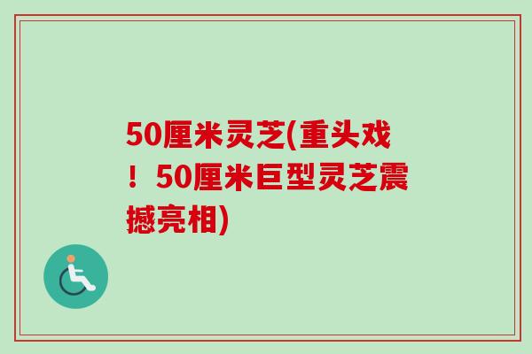 50厘米灵芝(重头戏！50厘米巨型灵芝震撼亮相)