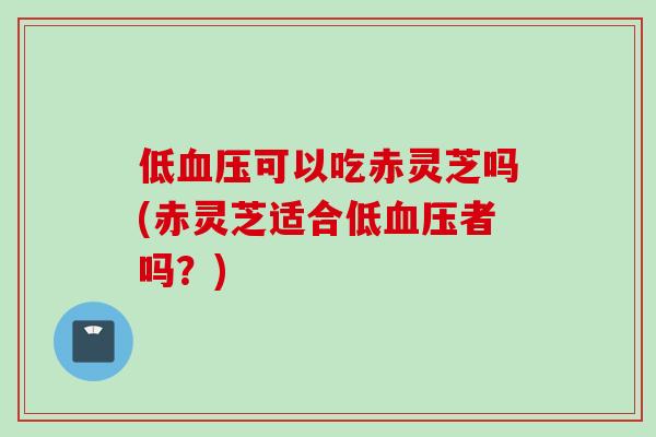 低血压可以吃赤灵芝吗(赤灵芝适合低血压者吗？)
